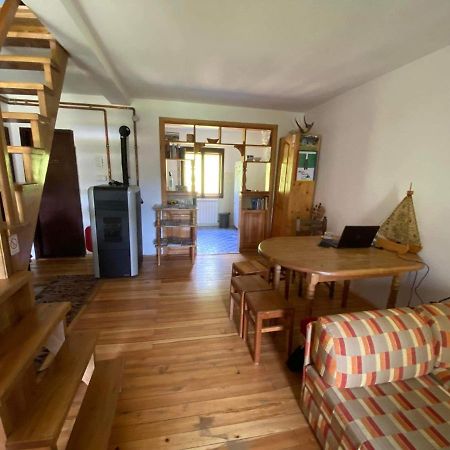 Mystic Forest Hostel Митровац Екстериор снимка